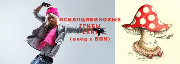 эйфоретик Каменка