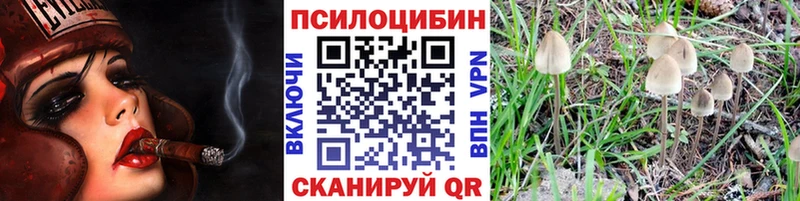 Псилоцибиновые грибы ЛСД  Купить  Сасово 